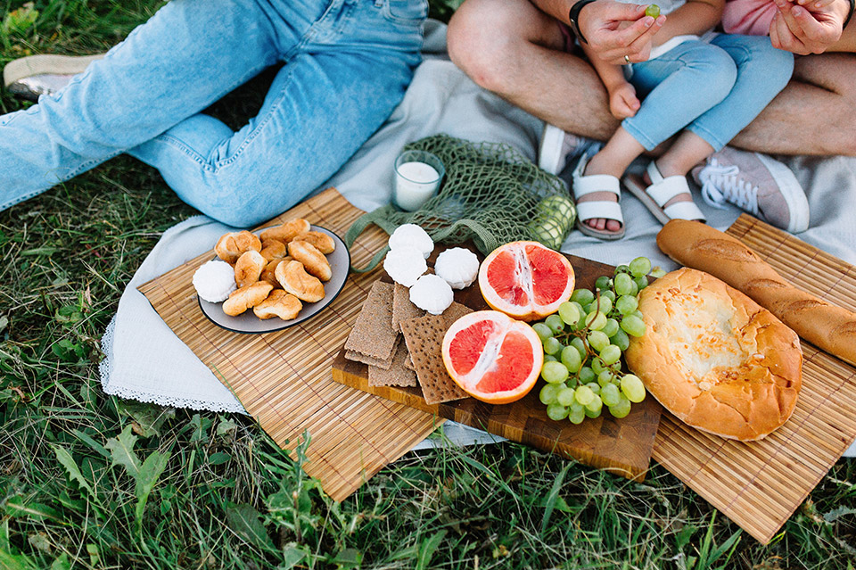 ESP-PIC-NIC