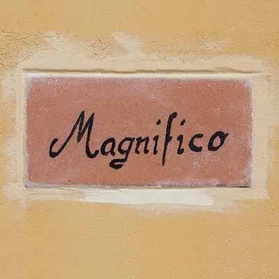 The Magnifico